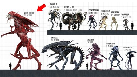 all kinds of xenomorph